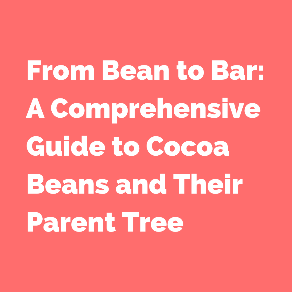 From Bean to Bar: A Comprehensive Guide to Cocoa Beans and Their Parent Tree
