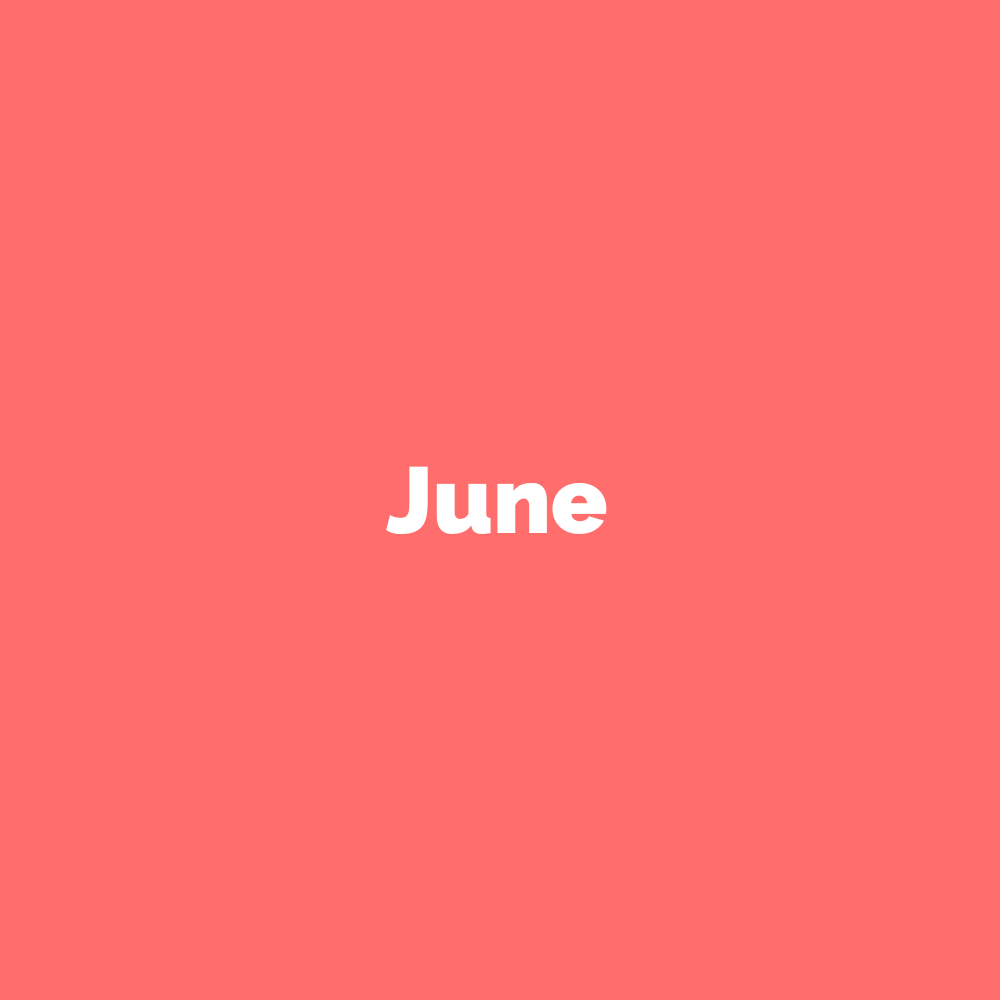 Kekao June Chocolate Subscription